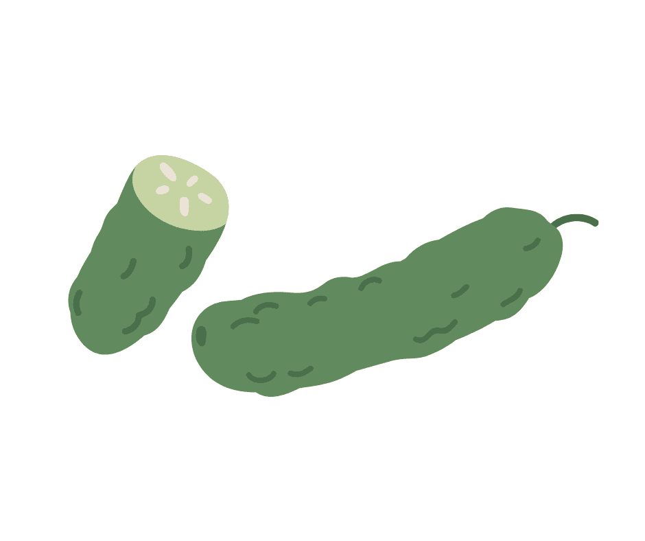 Concombre